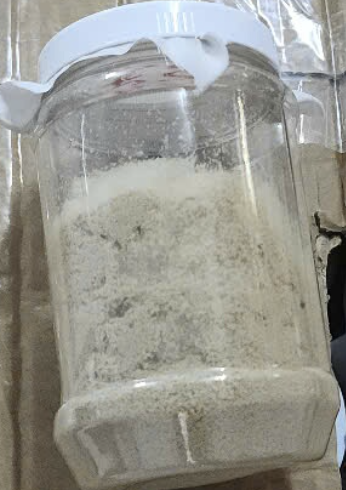 Trứng ruồi lính đen